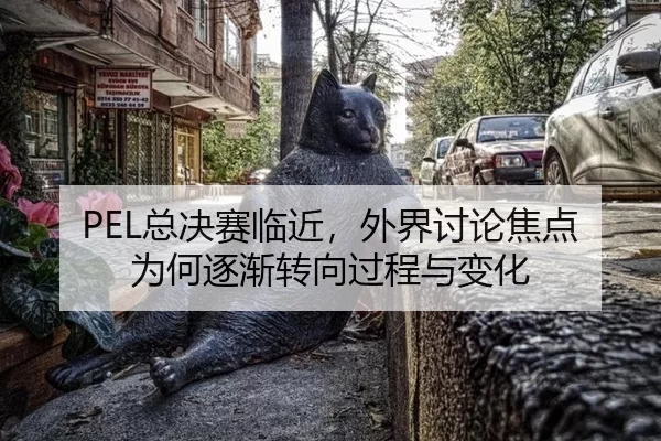 PEL总决赛临近，外界讨论焦点为何逐渐转向过程与变化